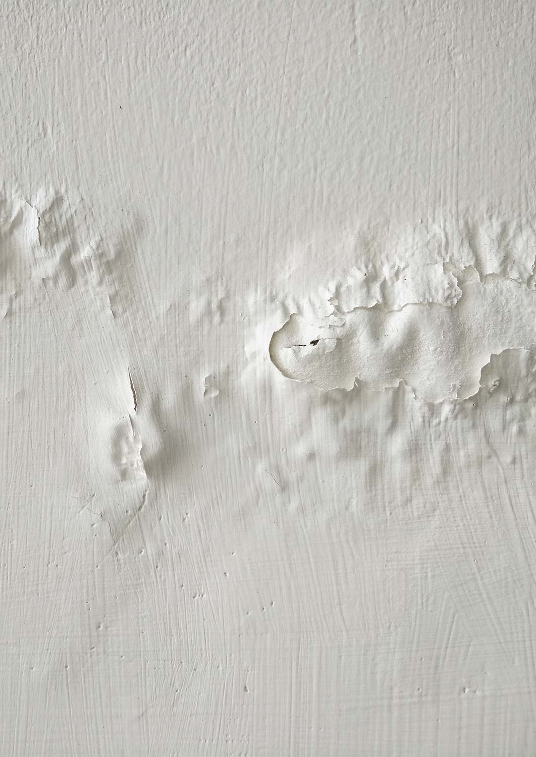 rising damp north west london